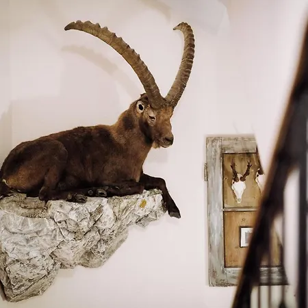 Apart Garni Hax'n Tenne Apartmán *