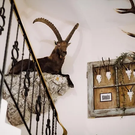 Garni Hax'n Tenne Serfaus