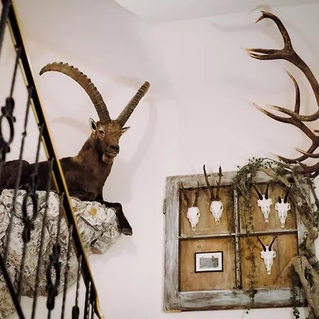 Garni Hax'n Tenne Appartement Serfaus