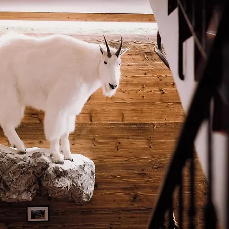 Appartement Garni Hax'n Tenne *