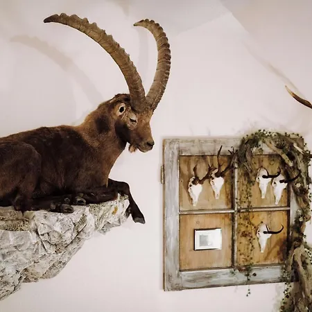 Garni Hax'n Tenne Appartement *